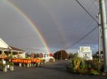 Store double rainbow resized-80