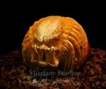 pumpkin 1-99