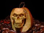 pumpkin 13-96