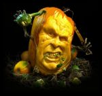 pumpkin 9-86